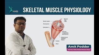 Skeletal Muscle Physiology বাংলা [upl. by Ybhsa]