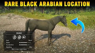 How To Get Rare Black Arabian Horse In Chapter 2 For Free With Location  RDR2 [upl. by Gnehc]