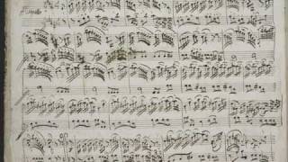 GF Handel  Suite No7 in G minor  Passacaille [upl. by Cartie688]