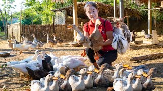 Harvest DUCK goes to the market sell  How to prepare grilled duck  Ella Daily Life [upl. by Rex]