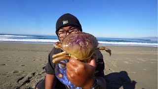 Snaring BIG Dungeness Crab From the BEACH [upl. by Veronica]