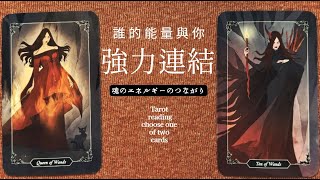 誰的能量與你「強力連結」⚡⚡❤️愛情占卜2選1⌛適用任何日期🍀CCSubENJPTC 🎁領取好運❤️感謝宇宙💫 [upl. by Brest]