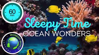 Wonder World Sensory  SLEEPY TIME OCEAN WONDERS music to help baby sleep baby [upl. by Odin]