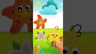 How To Say Star In Hebrew cohav hebrew viral fun israel kids learning shapes shorts fyp [upl. by Annaor90]