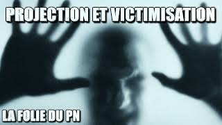 Projection et victimisation  la folie du PN PNSTORY [upl. by Paolina]