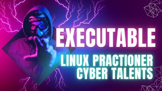 Solving executable  Linux Practitioner  Cyber Talents [upl. by Pammy]