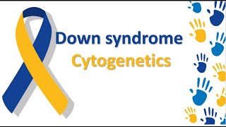 Down Syndrome Cytogenetics [upl. by Camey221]