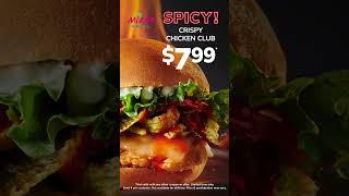 MG Spicy Bacon CheeseburgerCrispy Chicken Club V 06 [upl. by Isus699]