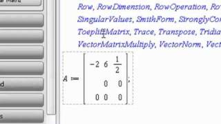 DETERMINANTE Y MATRIZ INVERSA EN MAPLE 12 [upl. by Hallimaj]