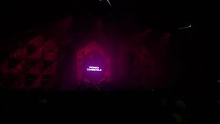 Reinier Zonneveld  Toffler Festival 2021 [upl. by Phina452]