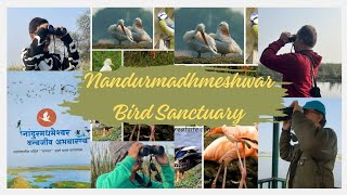 Nandur Madhmeshwar Bird Sanctuary Nashik Pralhad Mohite [upl. by Ezechiel]