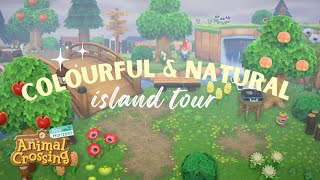 Colourful amp Natural Island Tour  Animal Crossing New Horizons [upl. by Arremat919]