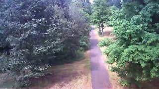 Dronata parco Boschetto Nichelino Italia Drone [upl. by Bevvy]