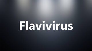 Flavivirus  Medical Meaning and Pronunciation [upl. by Ysteb]