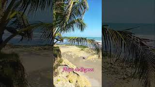 playas de Cazones Veracruz [upl. by Heurlin]