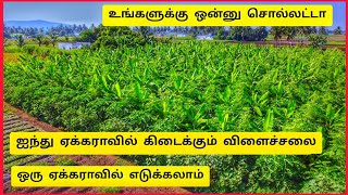 ஐந்து அடுக்கு விவசாயம் பற்றிய தெளிவான தகவல்கள்  சுபாஷ் பாலேக்கர் இயற்கை விவசாயம்  விவசாய நண்பன் [upl. by Larred]