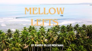 MENTAWAI SURFING MELLOW LEFT FOR BEGINNERS [upl. by Ainessey]