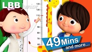 Measuring Your Height Song  And Lots More Original Songs  From LBB Junior [upl. by Ettevroc334]