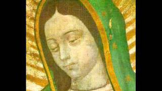 The Amazing and Miraculous Image of Our Lady of Guadalupe full length [upl. by Richardo]