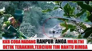 KKB HADANG RANPUR ANOA TNIDETIK TERAKHIR TERCIUM TIM HANTU RIMBAAMBLASLAH [upl. by Neelyak]