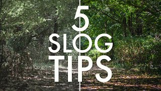 5 SLOG tips every Sony shooter should know SLOG2 SLOG3 [upl. by Dnalrah]