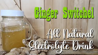 Ginger Switchel  All Natural Electrolyte Drink [upl. by Marlee]