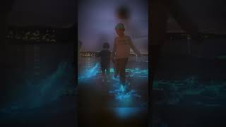 Why is the Water Glowing  Bioluminescent Waters [upl. by Reneta]