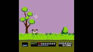 Duck Hunt Level 7 [upl. by Yor]