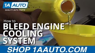 How to Flush Your Coolant at home without any fancy tools featuring various Toyotas [upl. by Arraic]