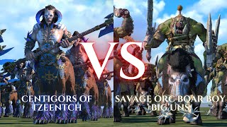 WARHAMMER III Total War  Centigors of Tzeentch VS Savage Orc Boar Boy BigUns [upl. by Felicity549]