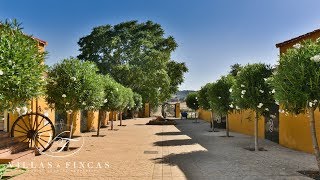 For Sale Equestrian Estate near Ronda Andalusia [upl. by Anahpos724]