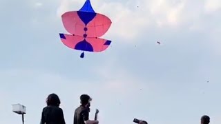 Rawalpindi basant biggest patang dod soda 😜sadiabad waly pandi boys [upl. by Boesch]