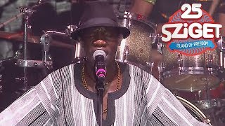 Mokoomba LIVE  Sziget 2017 Full Concert [upl. by Jackquelin654]