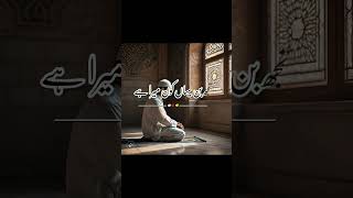 ya Rasool ul llalh sharminda bohot han islamiqoutes shortvideos viral short [upl. by Nayr836]