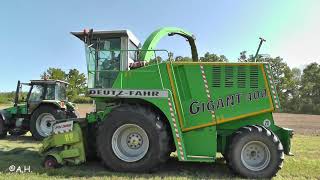 Deutz Fahr Gigant 400  Intrac 660  Agrostar  Agrotron 260  M620 amp Mengele beim 1 Schnitt 2020 [upl. by Nedyrb232]