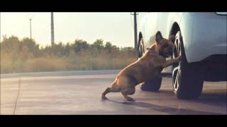 MUSIQUE DE PUB CITROËN LE CHIEN 2014 [upl. by Ennoid588]