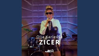 Zicer Cover [upl. by Skip]