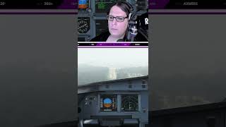 low vis landing  linakatharina auf Twitch [upl. by Gurias]