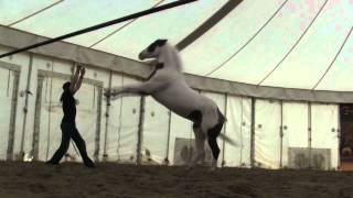 Cavalia  Arrives in St Louis MO [upl. by Danelle]