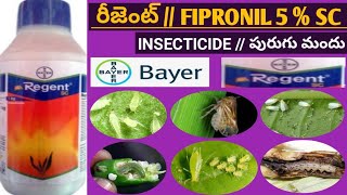 బాయర్ రీజెంట్  BAYER REGENT  FIPRONIL 5 SC  INSECTICIDE పురుగు మందు  FULL DETIALS [upl. by Junia326]