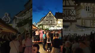 Weinfest Zeil am Main 2022 5 [upl. by Oicinoid261]