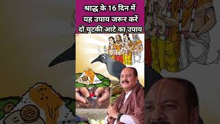 श्राद्ध के 16 दिनों में यह उपाय जरूर करें pradeepmishra pitrupaksha pitrapaksha upay shraadh [upl. by Inatsed334]