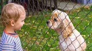 Dog Bites  Akron Childrens Hospital video [upl. by Leod939]