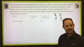 Biologie van Tim  Gekoppelde overerving [upl. by Mij]