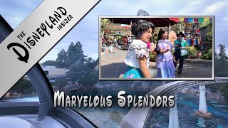 Disneyland Insider  Marvelous Splendors [upl. by Hofmann]