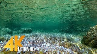 Underwater of the Adriatic Sea  4K Nature Relax Video  Relaxing Music [upl. by Ketty]