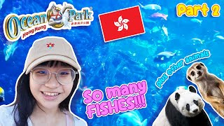 So Many FISHES  Ocean Park Hong Kong Vlog ⋆˚✿˖° PART 2 [upl. by Luahs436]