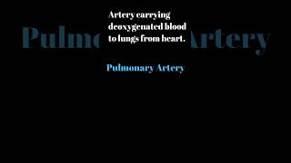 Circulatory System Class 10 biology doublecirculation artery [upl. by Ettenuahs476]