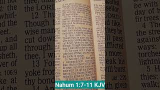 Nahum 1711 KJV [upl. by Dammahom]