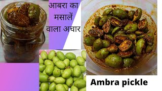 आमडा का मसालेदार अचार बनाने का तरीका Ambra pickle recipe [upl. by Billat]